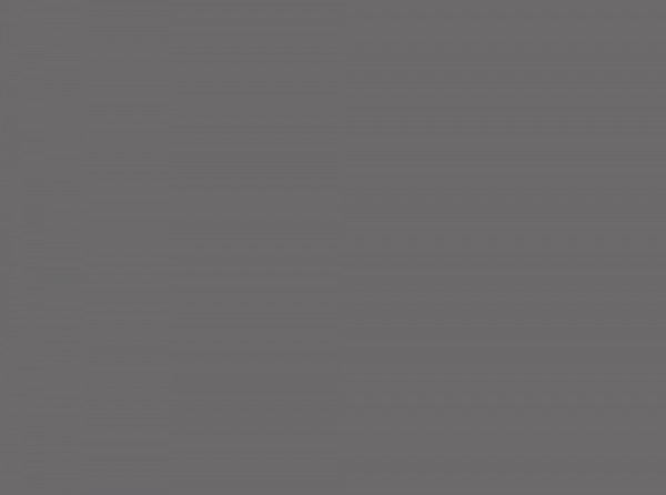 Линолеум BIGFOOT 6.0/1.0 SMOKY GREY