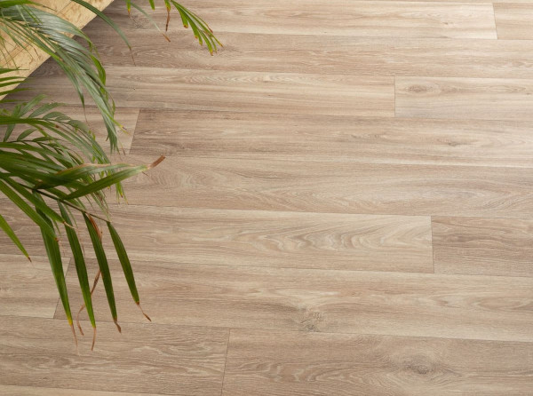 Линолеум Juteks Master Havanna OAK 1